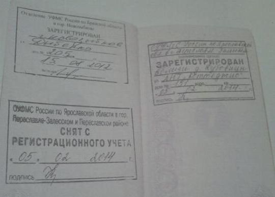 прописка в Клинцах